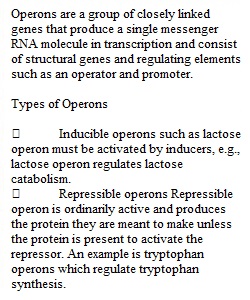 Homework 11 Part 2